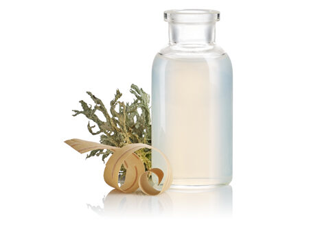 ingredients_birch-water_450x350