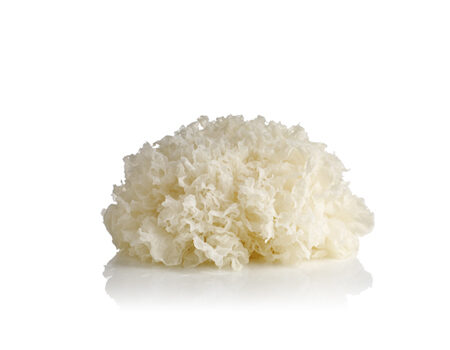 ingredients_snow-mushroom_450x350